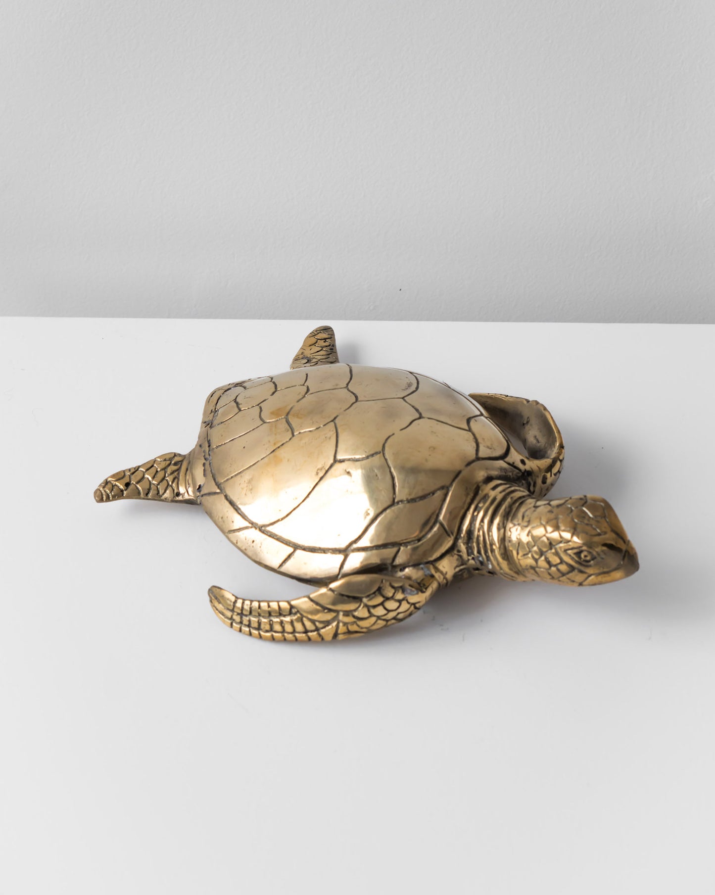 BRASS TURTLE