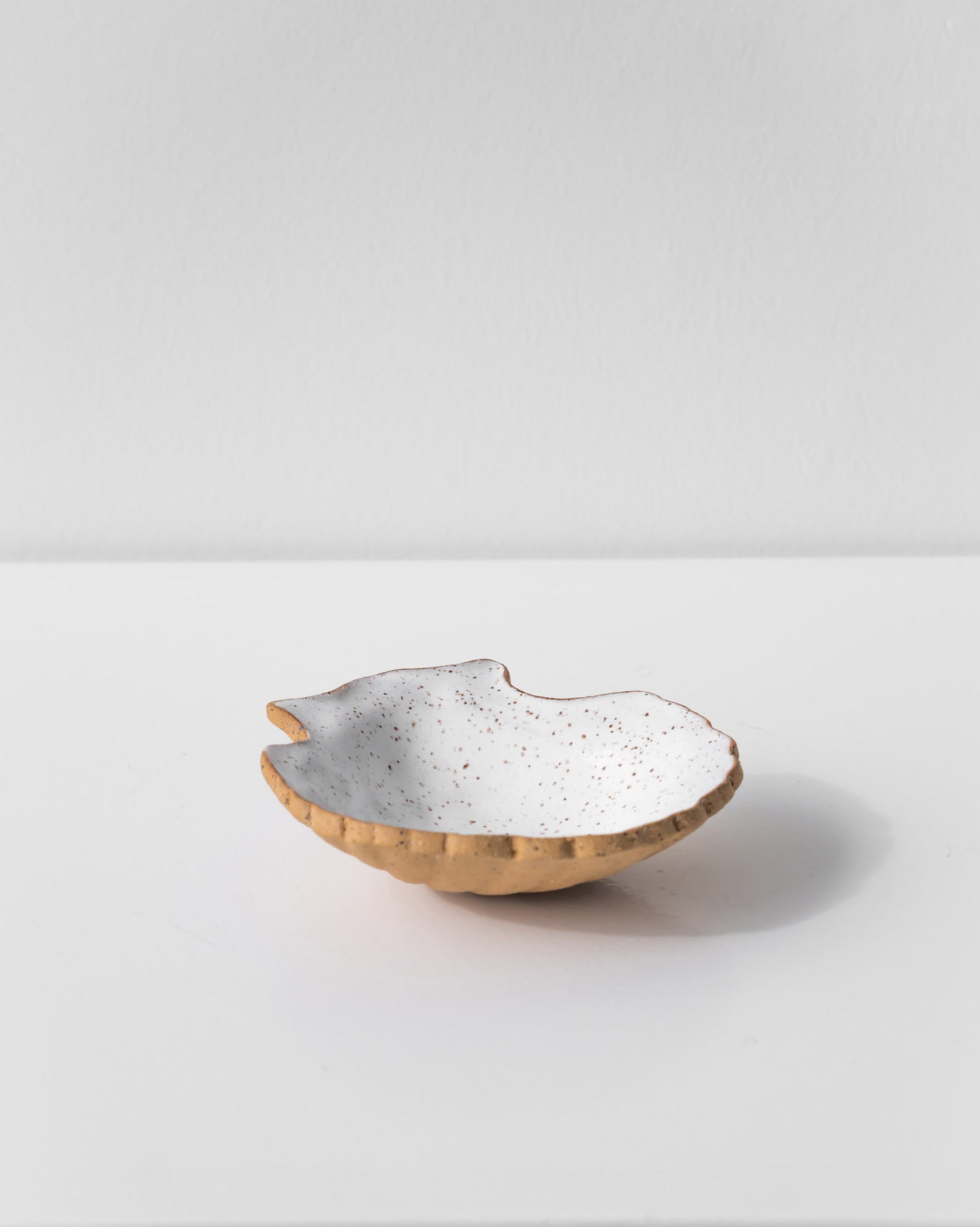 SHELL JEWELLERY DISH