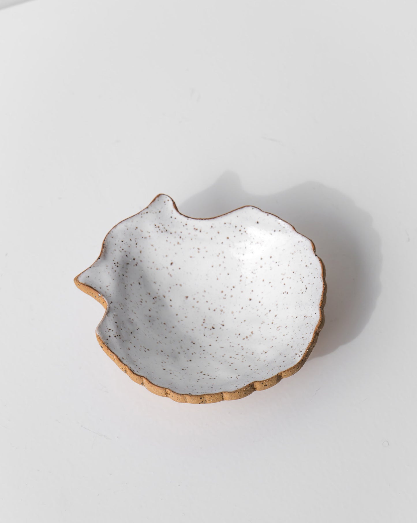 SHELL JEWELLERY DISH
