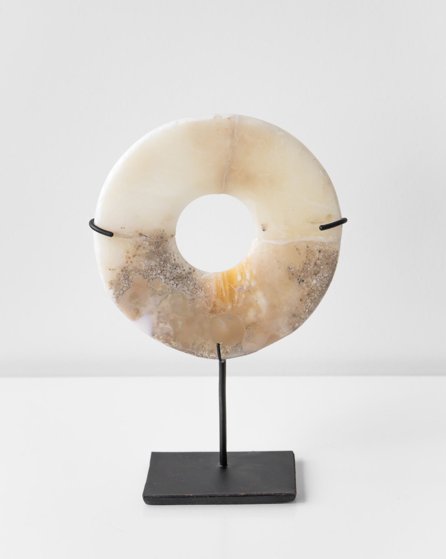 SHELL ORNAMENT