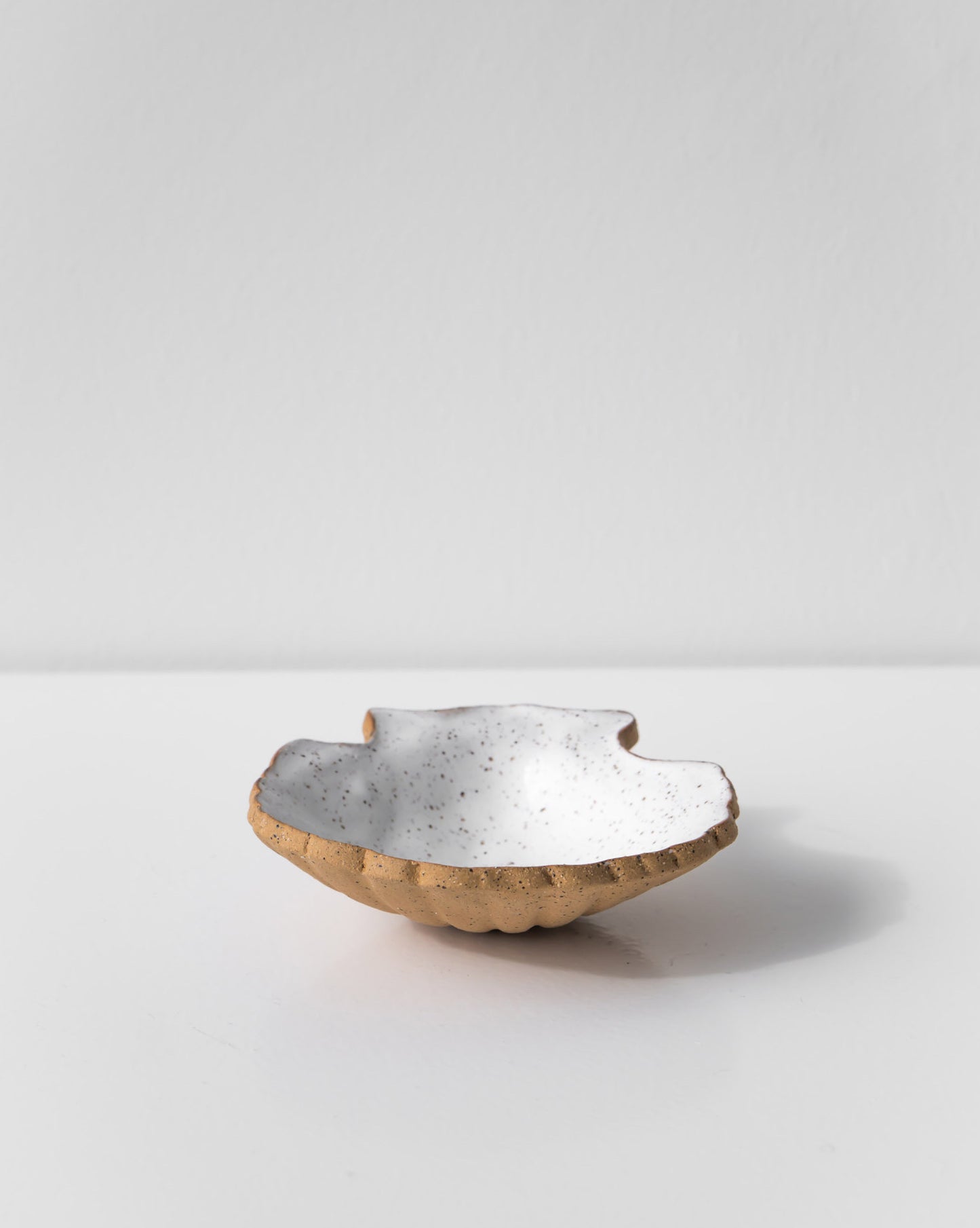 SHELL JEWELLERY DISH