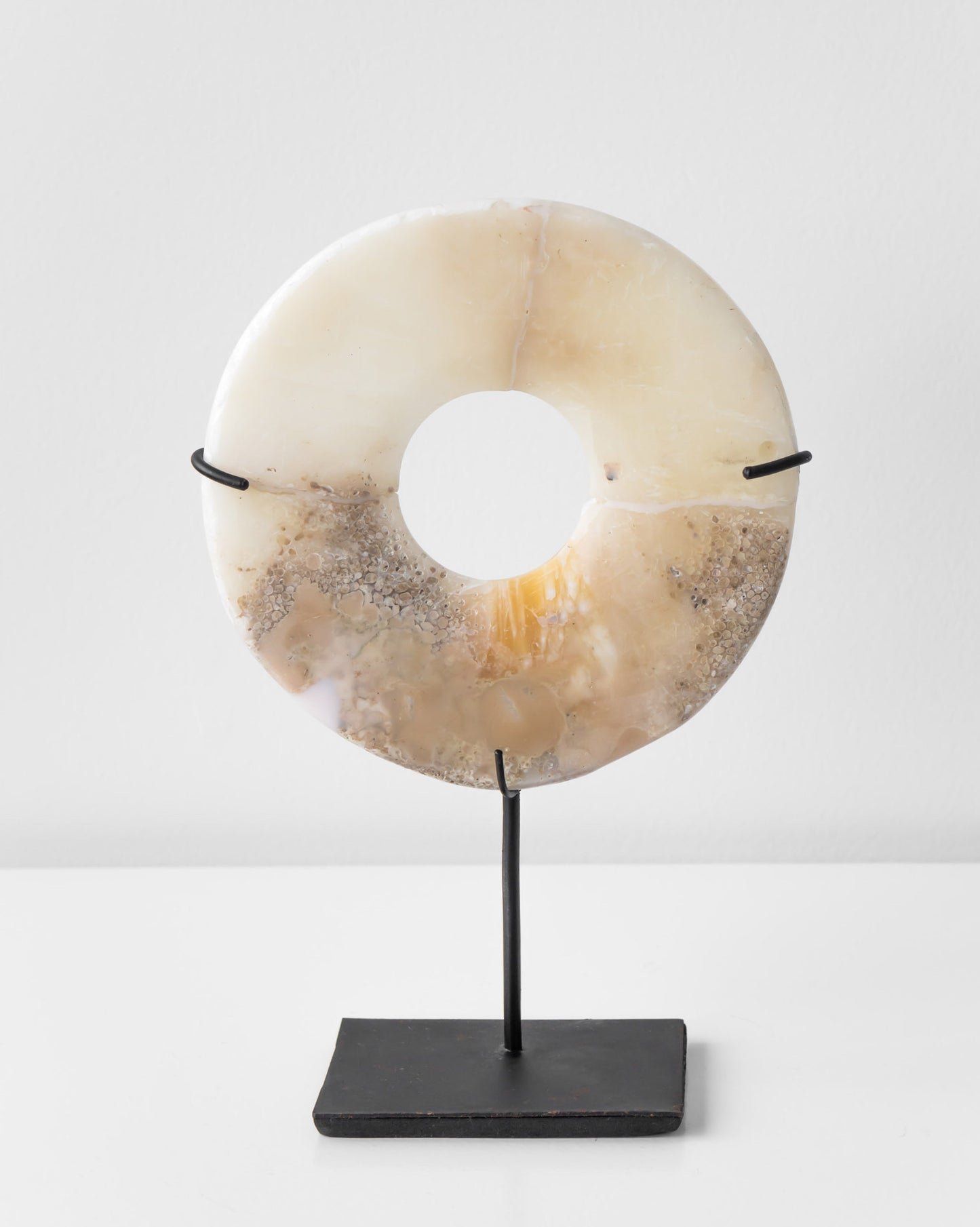 SHELL ORNAMENT