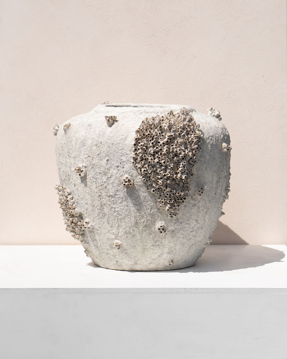 BARNACLE POT
