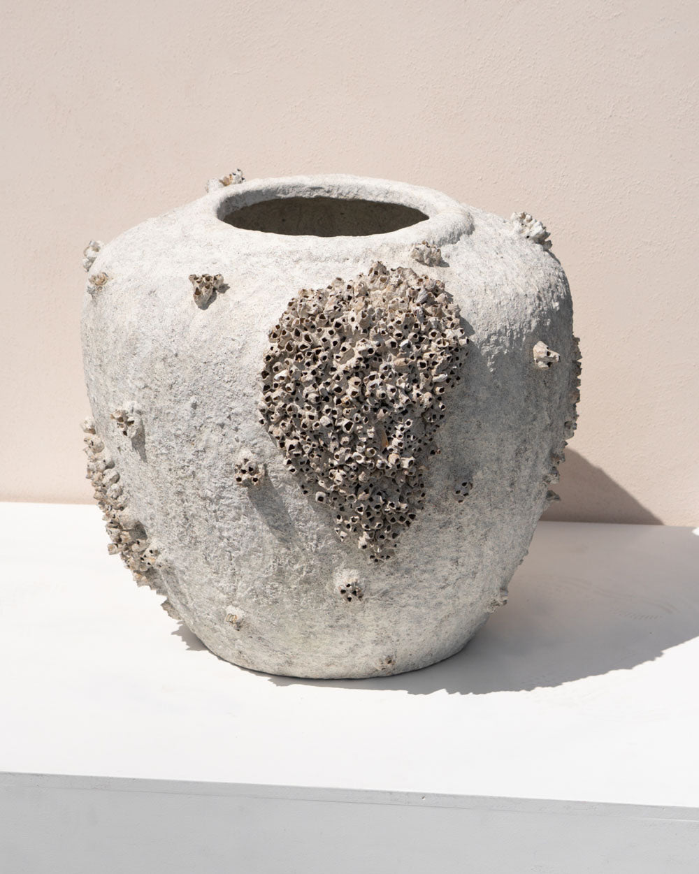 BARNACLE POT