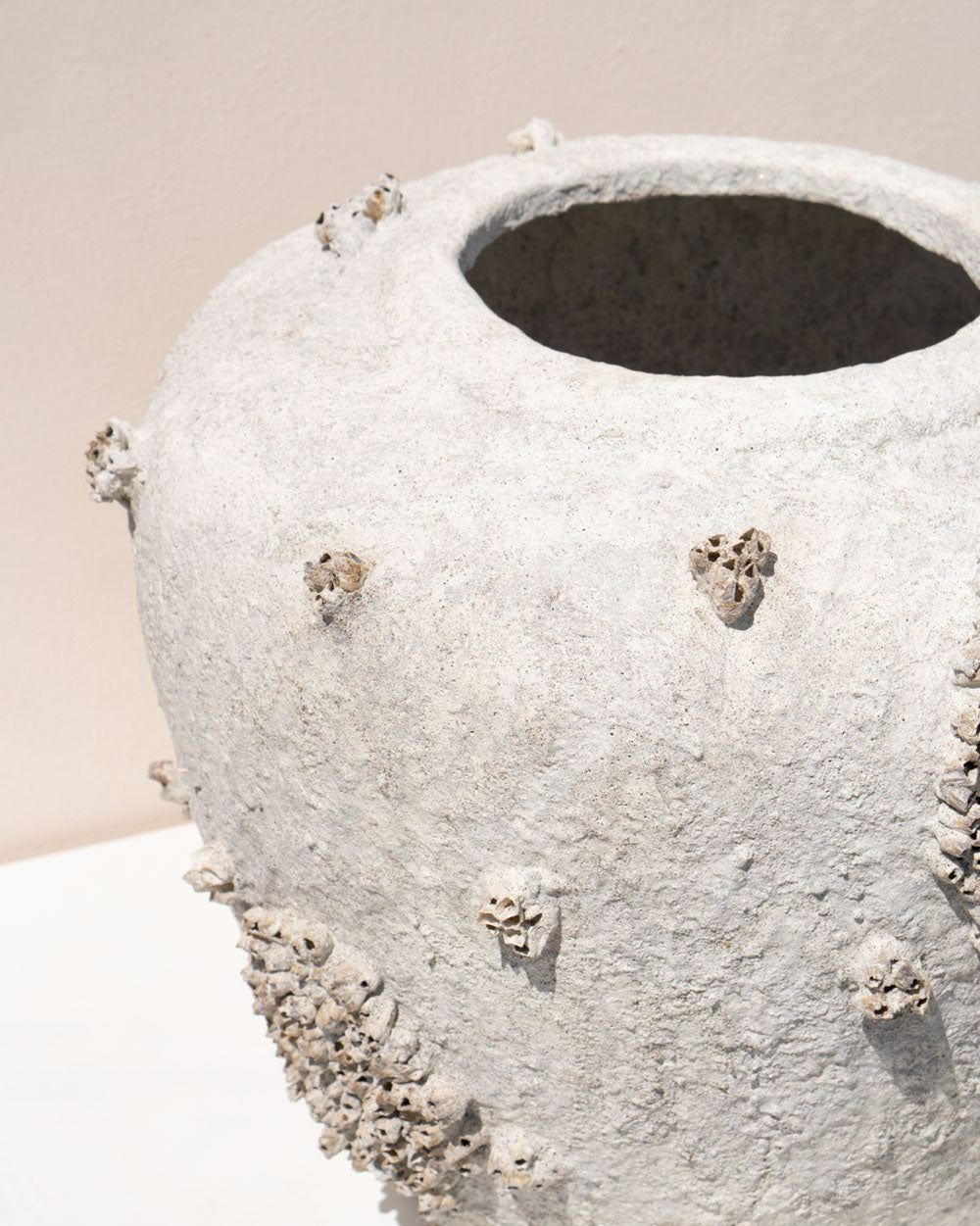 BARNACLE POT