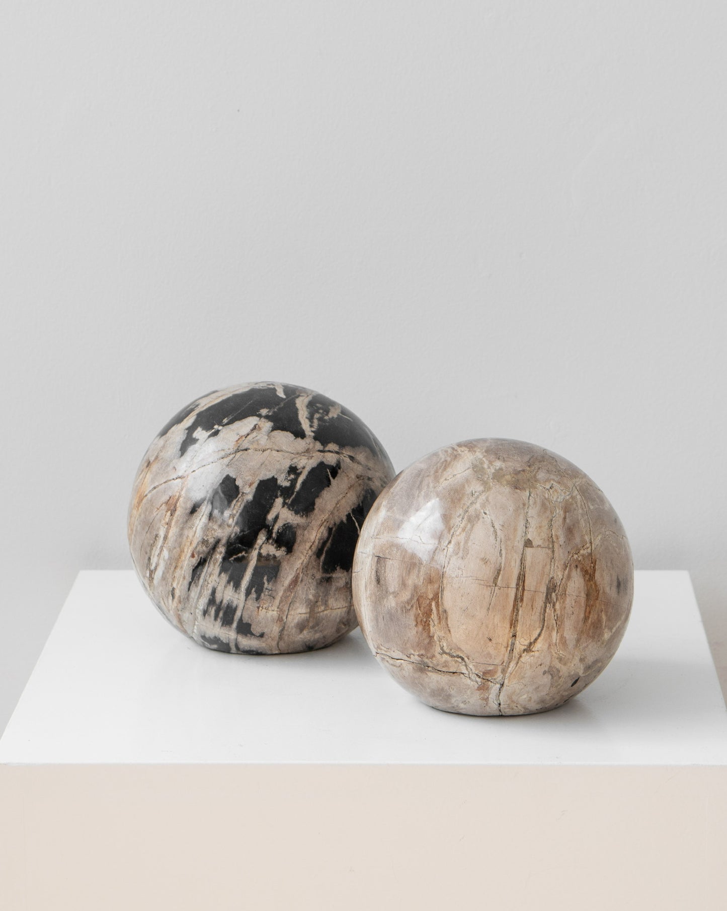 PETRIFIED WOOD SCULPTURE BEIGE