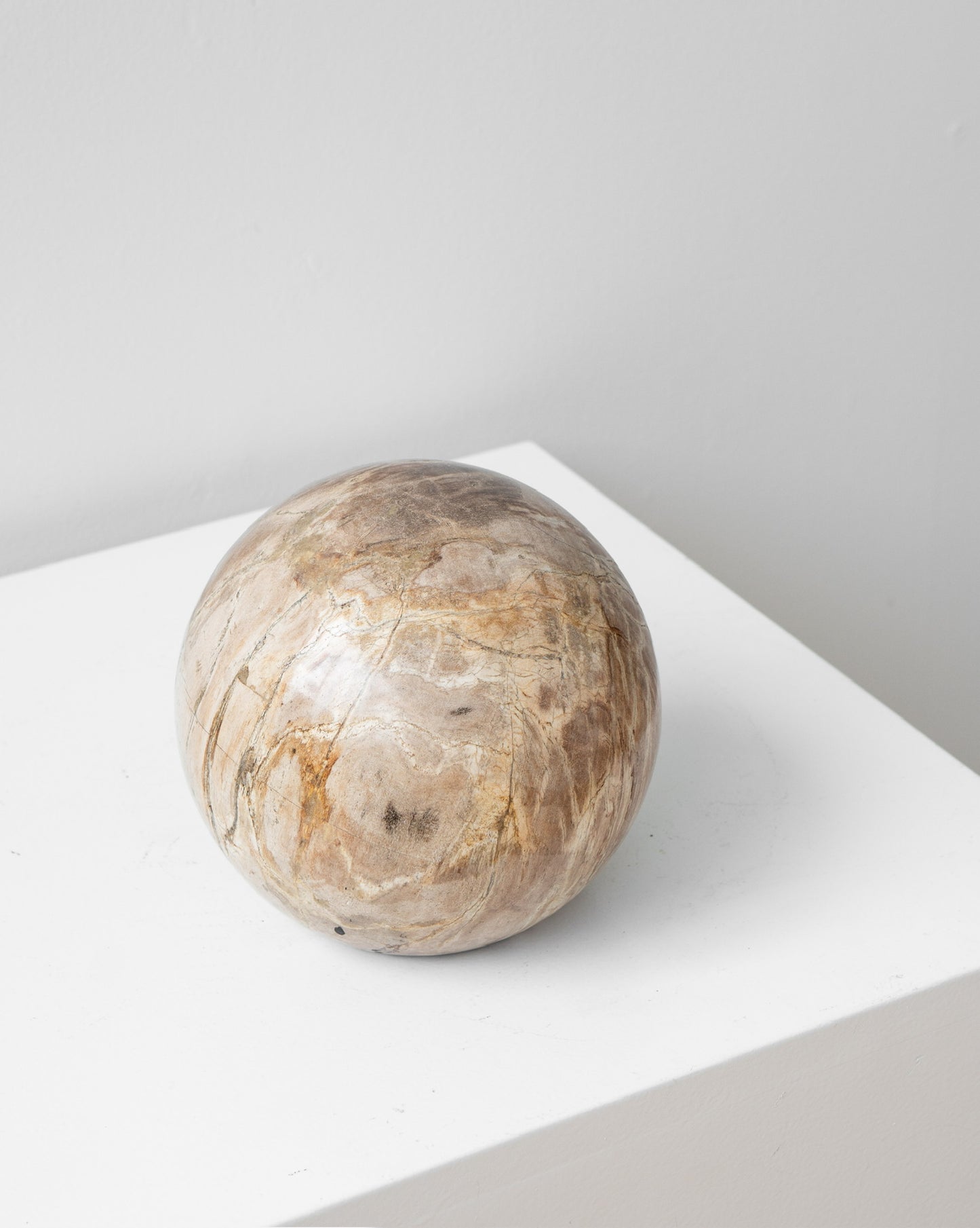 PETRIFIED WOOD SCULPTURE BEIGE