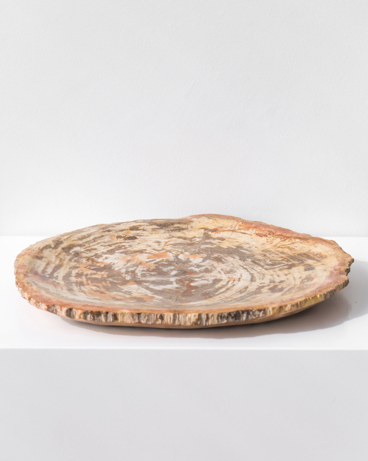 PETRIFIED WOOD DISH