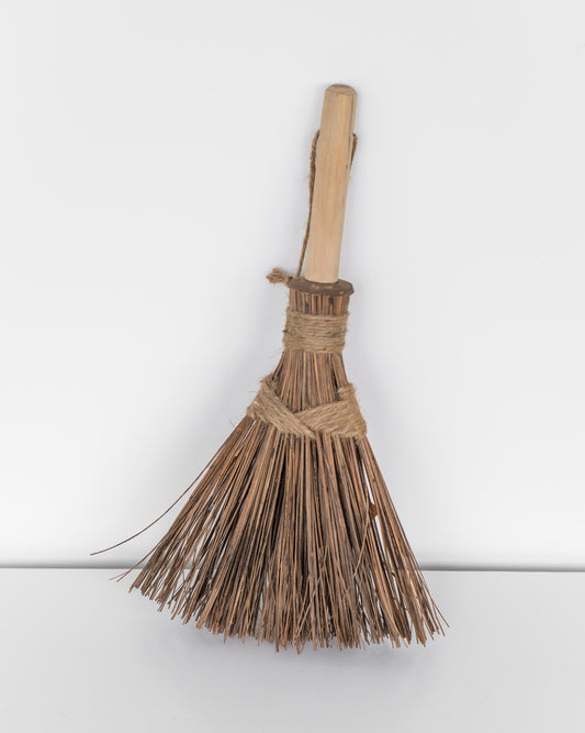 MINI PALM BROOM