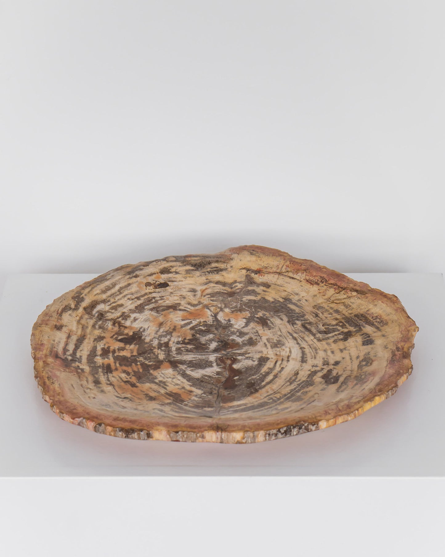 PETRIFIED WOOD DISH