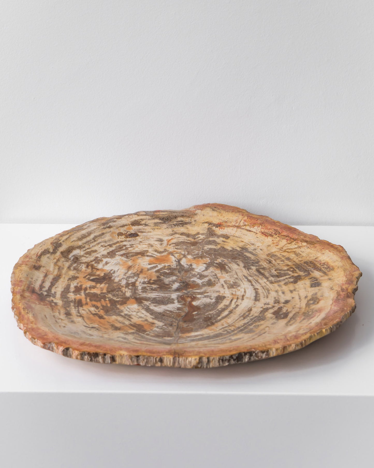 PETRIFIED WOOD DISH