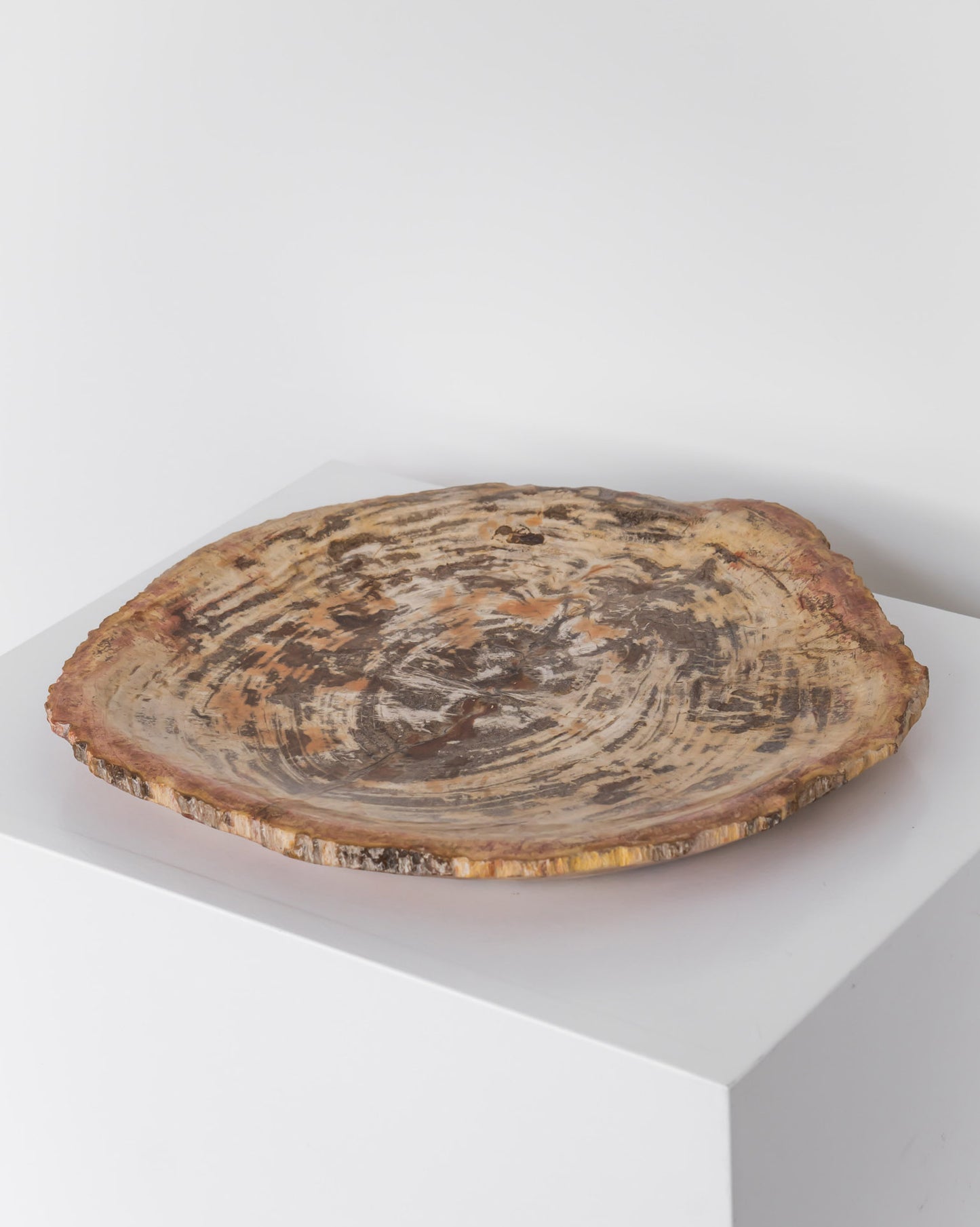 PETRIFIED WOOD DISH