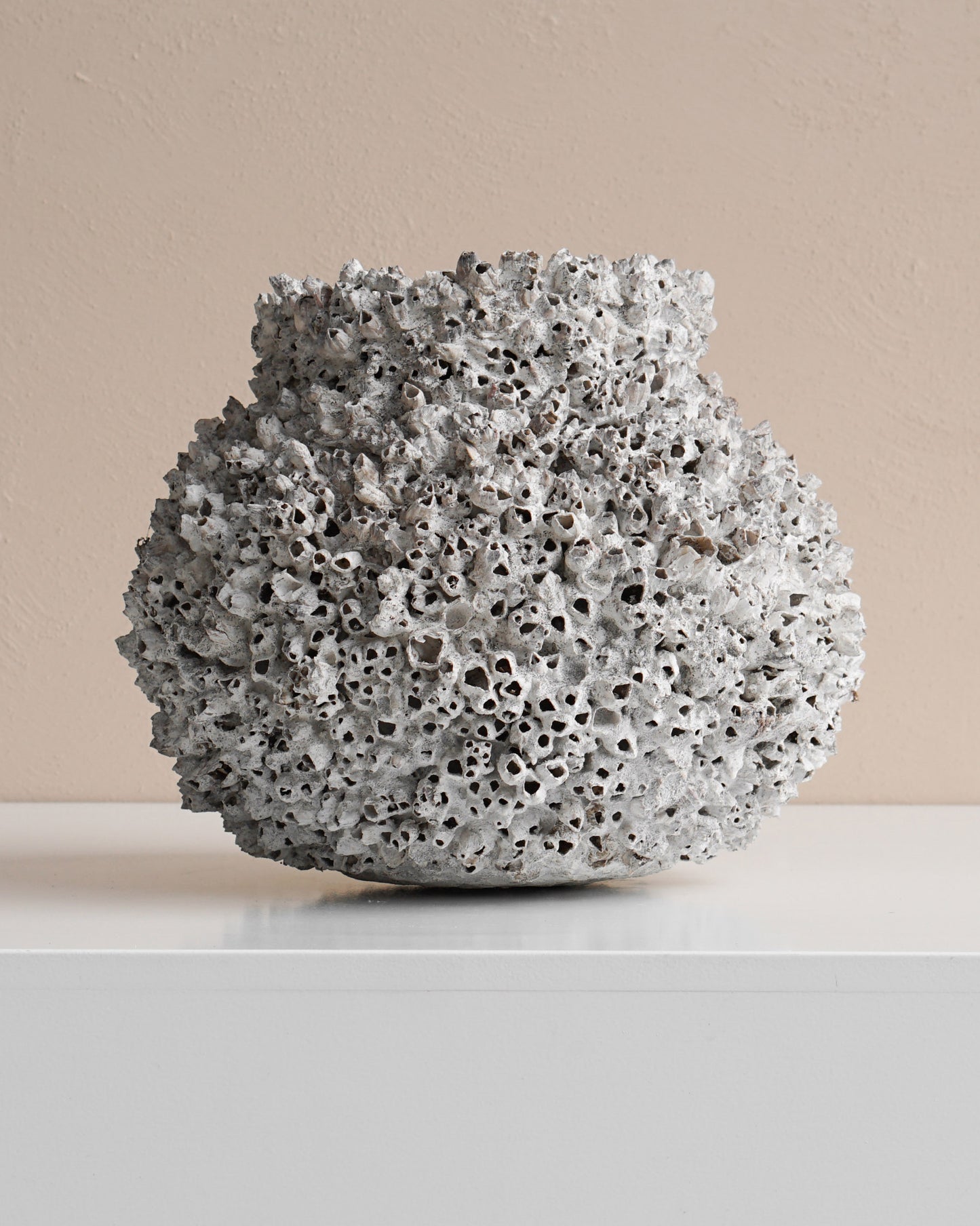 BARNACLE POT