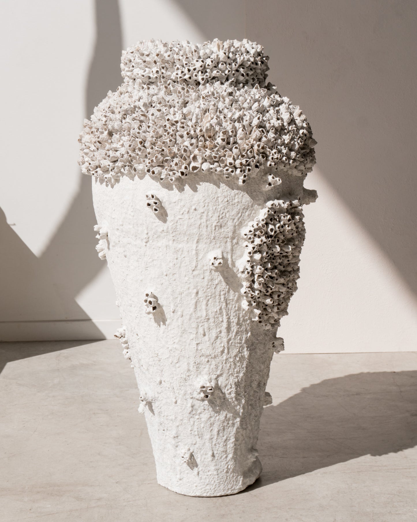 BARNACLE POT